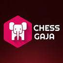 Good Performance by Chess Gaja Student in Portland Chess Tournament