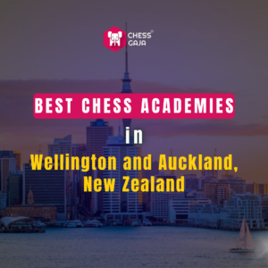 Text reads: "Best Chess Academies in Wellington and Auckland, New Zealand." City skyline in the background.