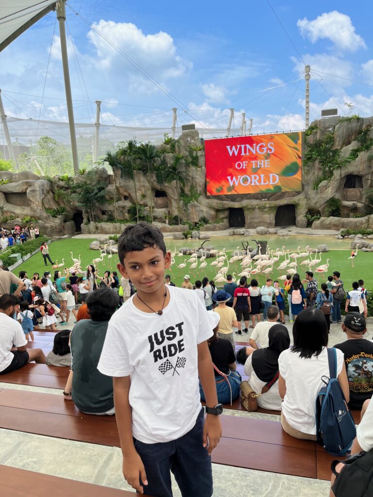 A boy stands in front of a seated crowd watching flamingos on a grassy stage, with a screen behind reading "Wings of the World.