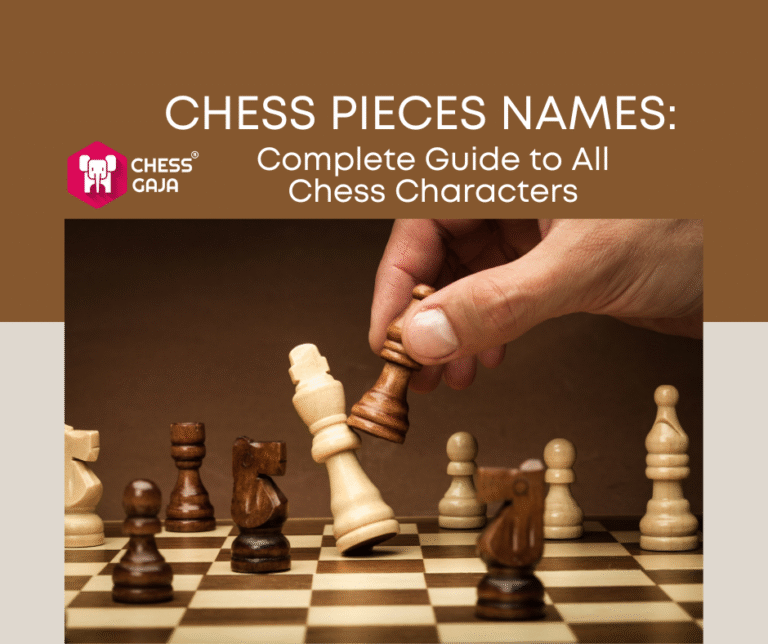 Chess Tile Names Discover Chess Pieces: Names, Looks & Moves for New Players